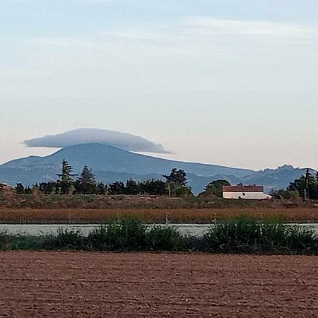 Chambre D'Hotes Les Garrigues Piolenc Exteriör bild