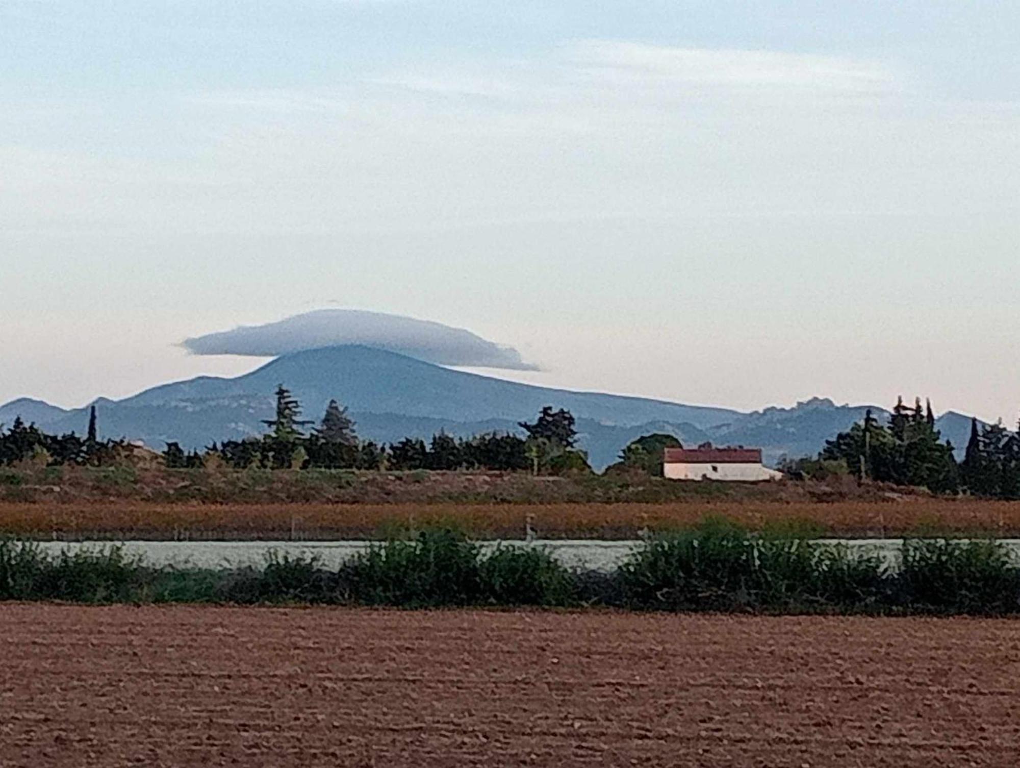 Chambre D'Hotes Les Garrigues Piolenc Exteriör bild